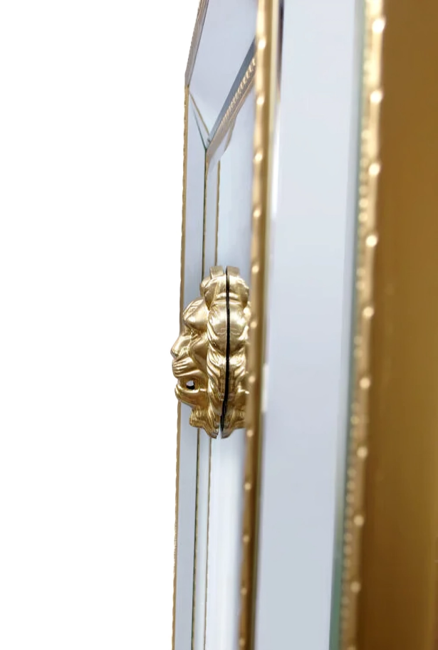 Modern Wild Lion Mirror