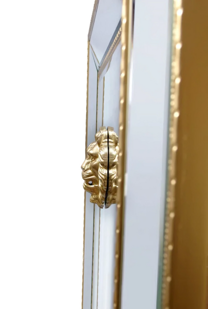 Modern Wild Lion Mirror