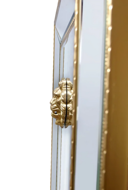 Modern Wild Lion Mirror